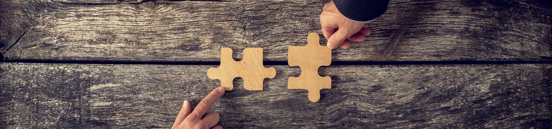 Strategic Partners