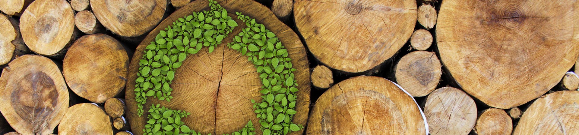 Sustainability